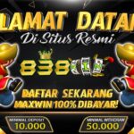 Daftar Bonanza Anti Rungkat: Pilihan Terbaik untuk Lindungi Kabel anda