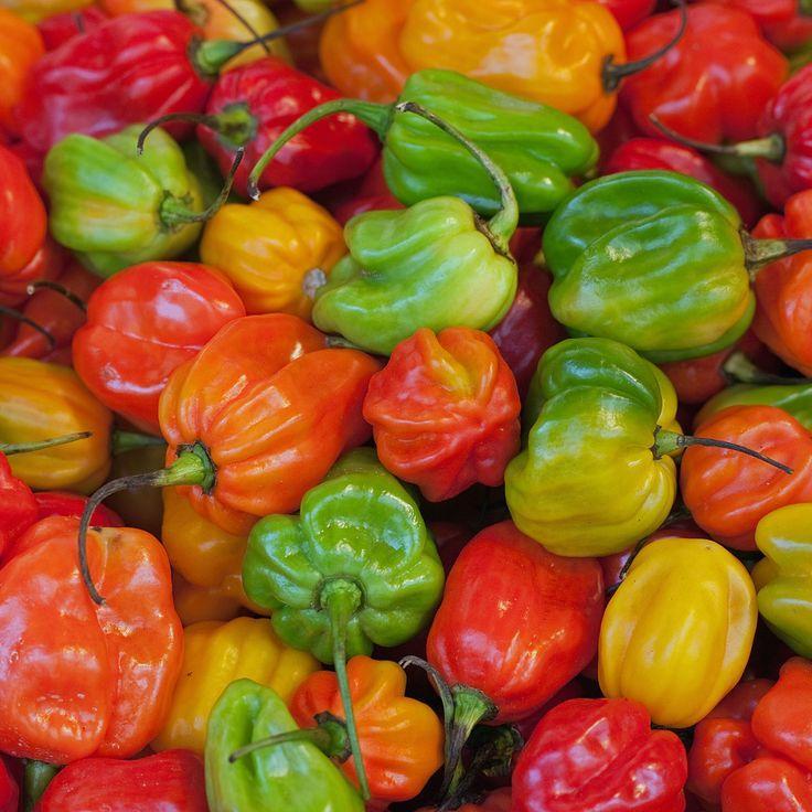 Menyajikan Kelezatan Habanero Rupiah Terbaru untuk Anda